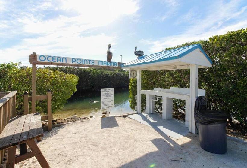 فندق Vitamin Sea