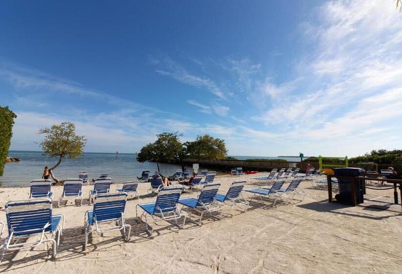 فندق Vitamin Sea