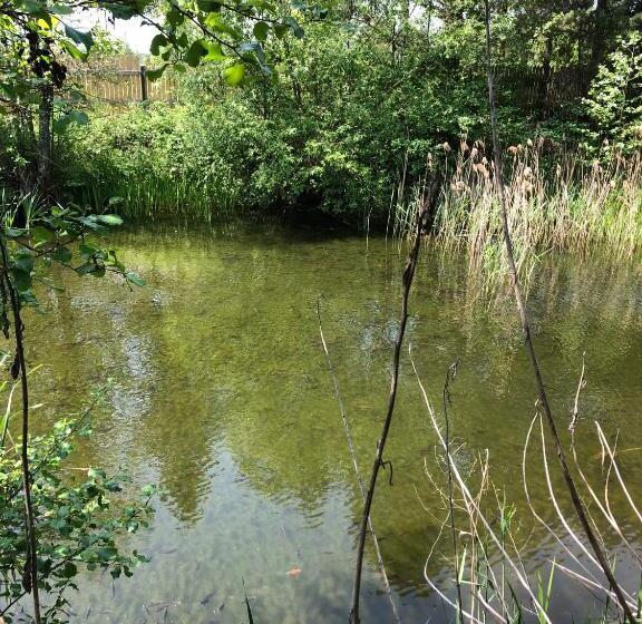 ホテル Wiejski Zakątek Nad Wigrami