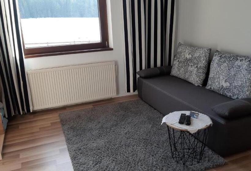 ホテル Willa Maciejka