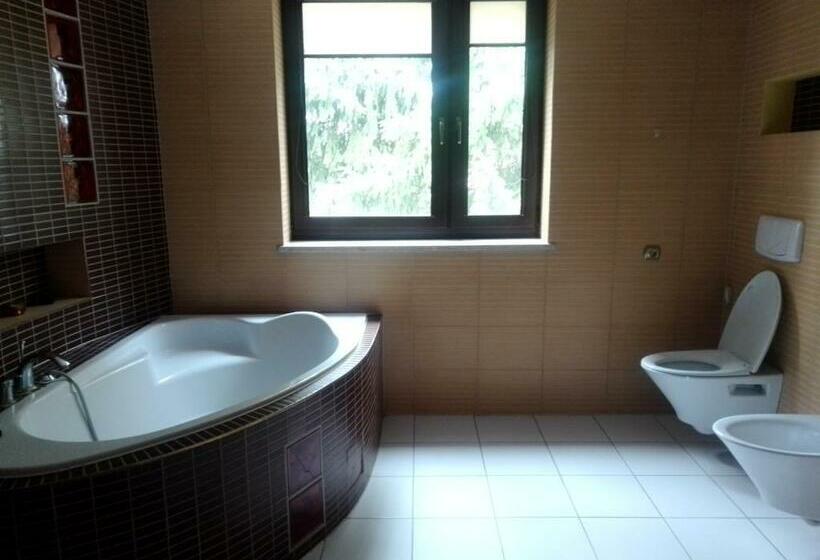 酒店 Willa Mateusza