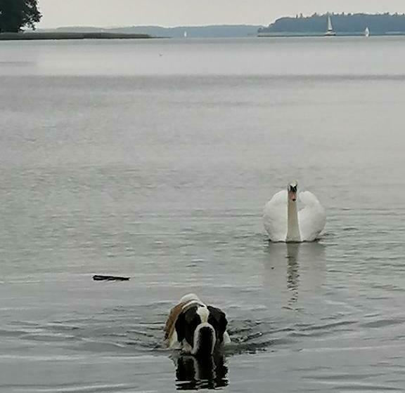 호텔 Wyciszek   Mazurska Agroturystyka