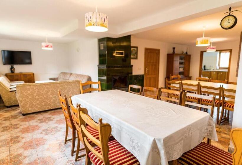 酒店 Wypoczynek Na Kaszubach Przy Jeziorach I Lasach