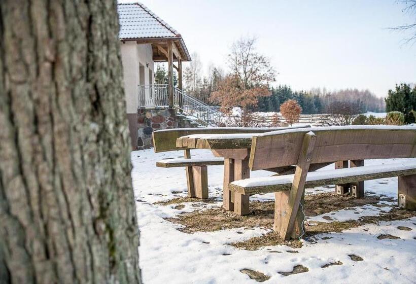 酒店 Wypoczynek Na Kaszubach Przy Jeziorach I Lasach