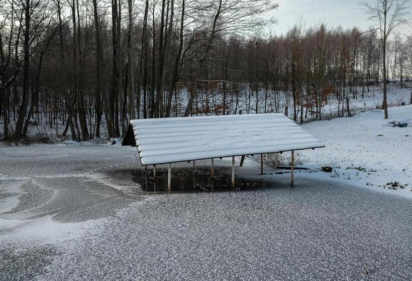 酒店 Wypoczynek Na Kaszubach Przy Jeziorach I Lasach