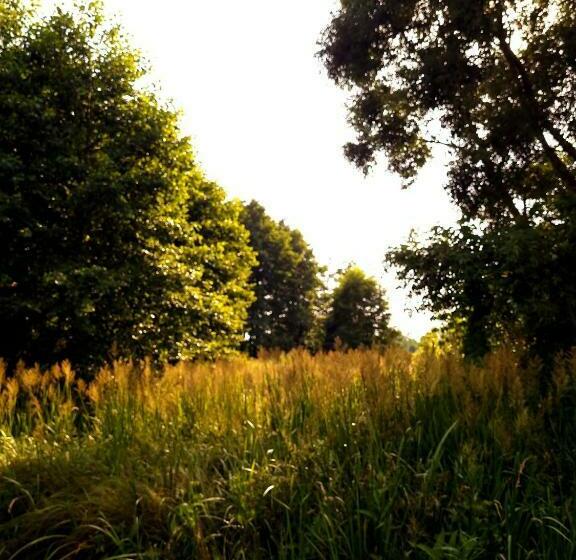 בית מלון כפרי Zacisze Na Roztoczu