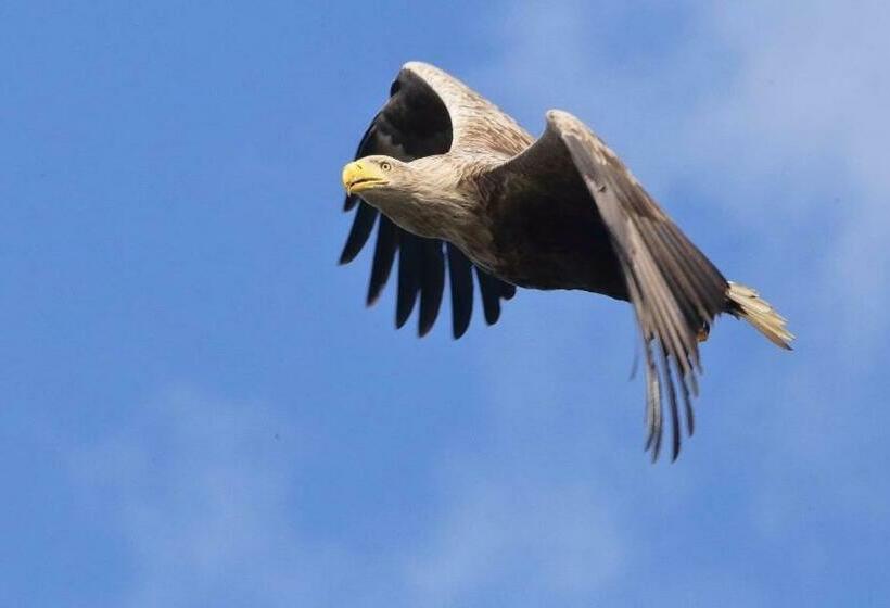 Kopice  Kowalczyk Hotel Residences In Nature Parks