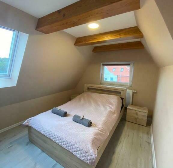 膳宿费 Baltic Vibes Pokoje Gościnne