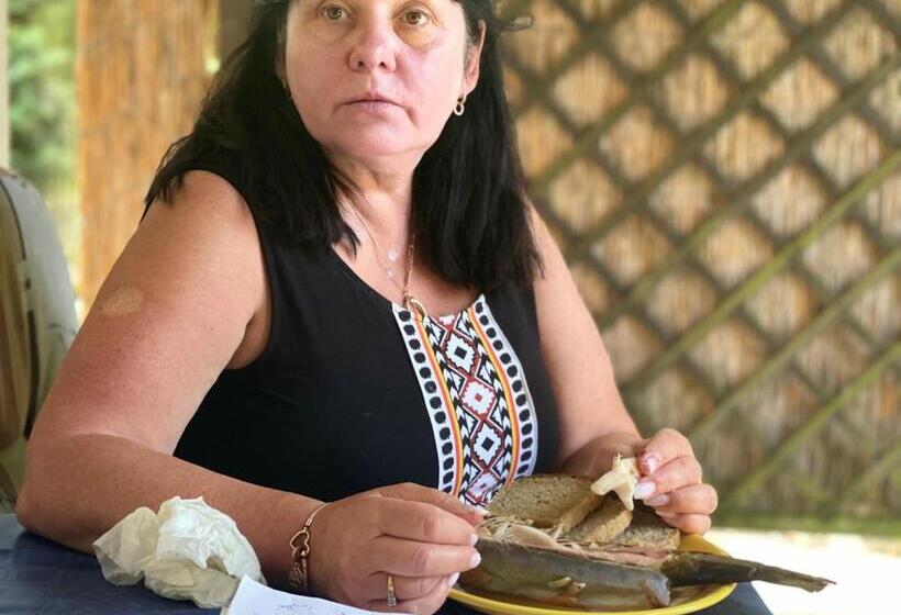 פנסיון Chybotek Premium