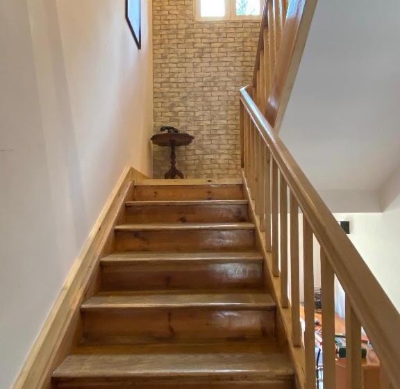 פנסיון Chybotek Premium