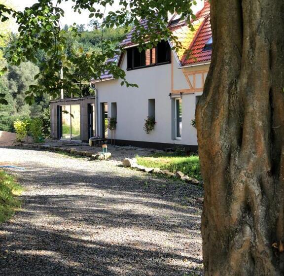 פנסיון Dolina Zdrowia U Skrzypków