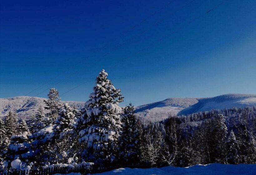 ペンション Dom Wczasowy Wojtatówka 3