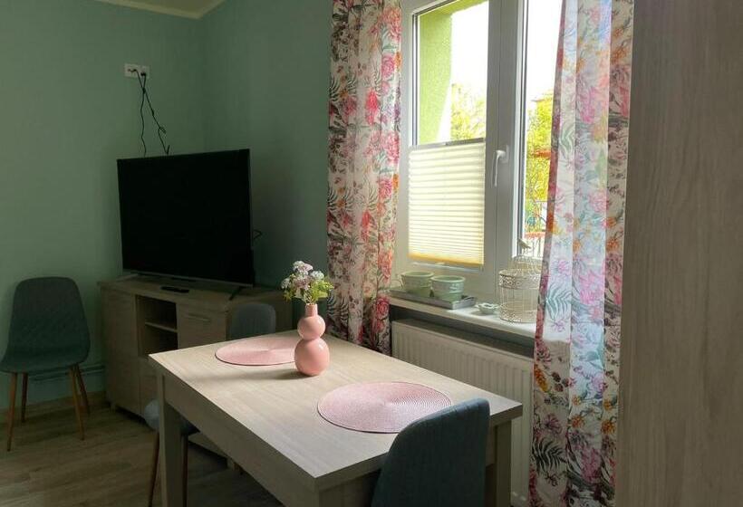 Пансион Domek Zielony