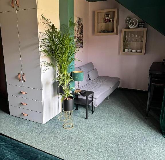 פנסיון Dziki Szynk