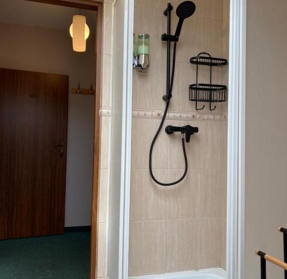 פנסיון Dziki Szynk