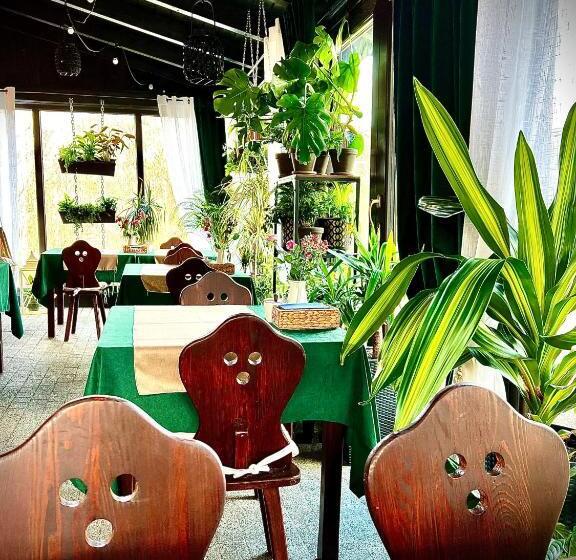 פנסיון Dziki Szynk