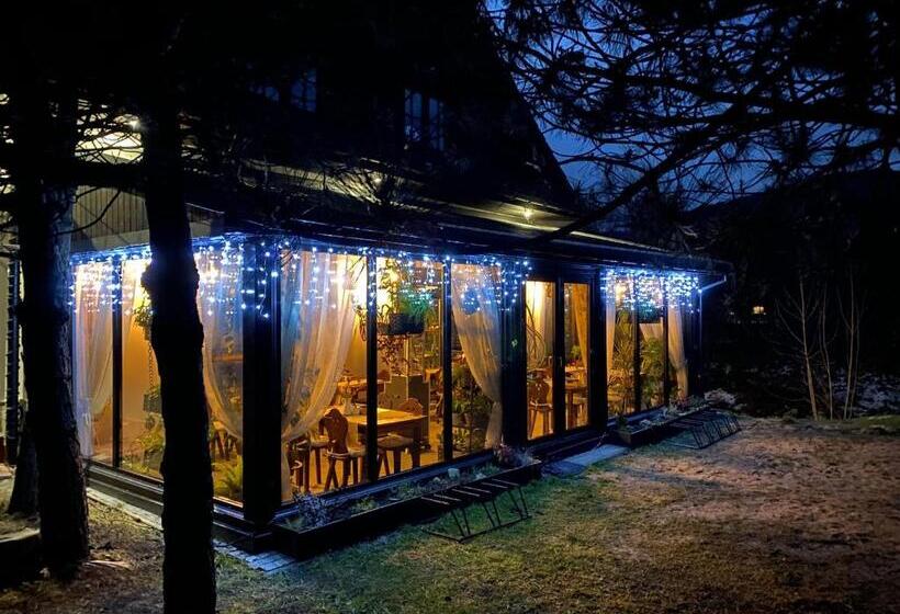 פנסיון Dziki Szynk