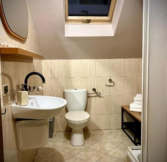 פנסיון Dziki Szynk