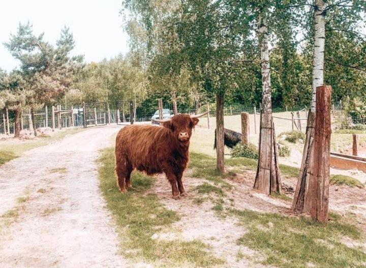 Пансион Lawendowy Dworek