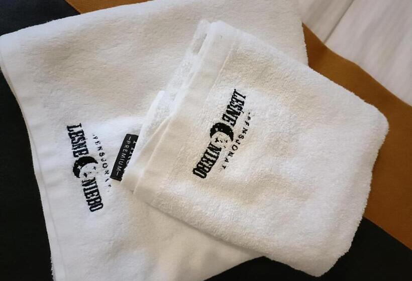 Пансион Leśne Niebo