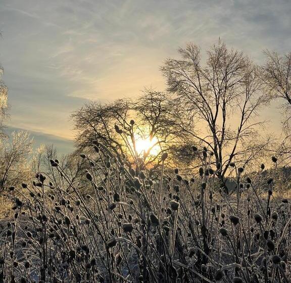 פנסיון Malinowa Chata