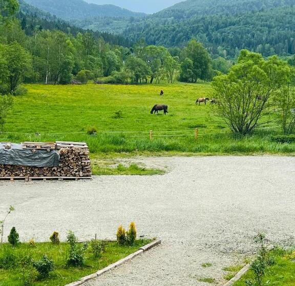 פנסיון Malinowa Chata