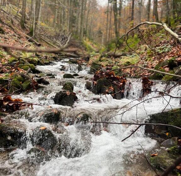 פנסיון Malinowa Chata