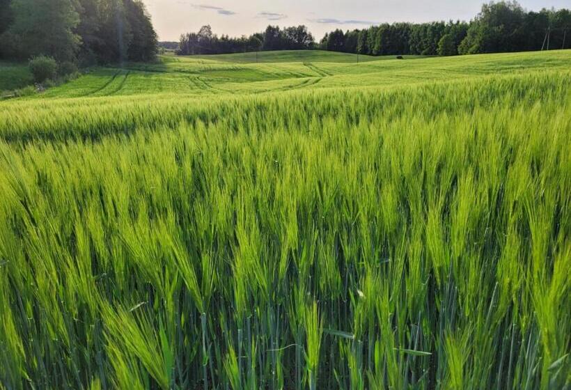 ペンション Osada Boczki