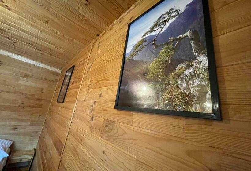 پانسیون Pienińska Willa Aleksandrówka