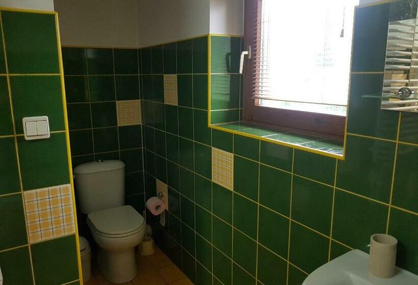 پانسیون Pokoje U Micka Poronin 5 Km Od Zakopanego