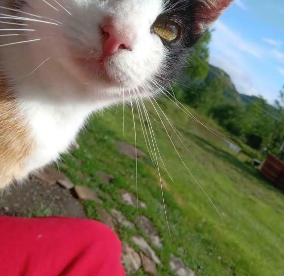 膳宿费 Room In Guest Room Escape With Bike On Paradisiac Mountain