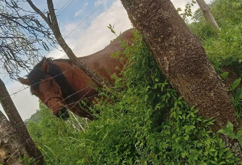 膳宿费 Room In Guest Room Escape With Bike On Paradisiac Mountain