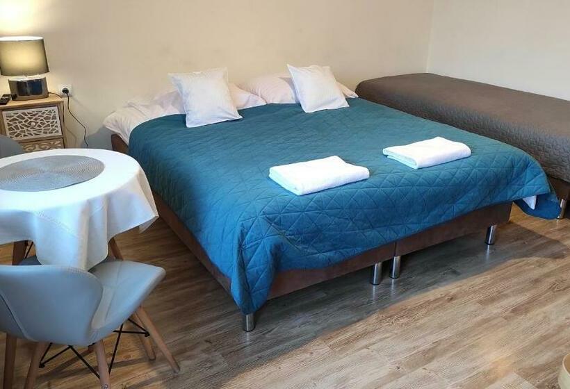 پانسیون U Ani