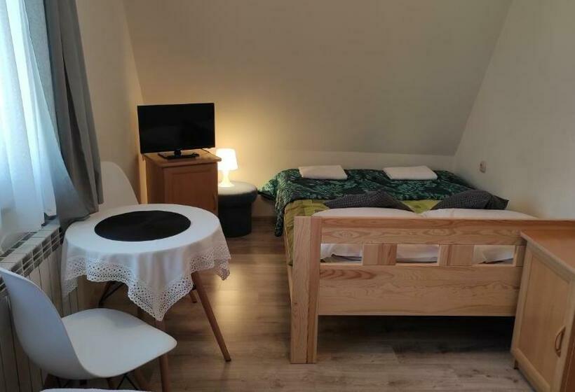 پانسیون U Ani