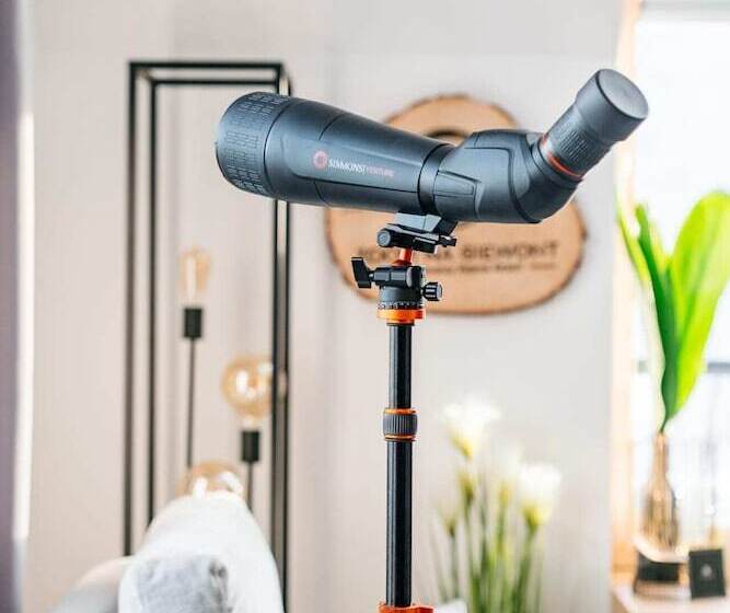 Polana Resort   Loftaffair Collection