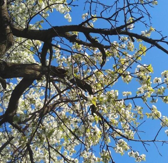 Schronisko Młodzieżowe Małgosia