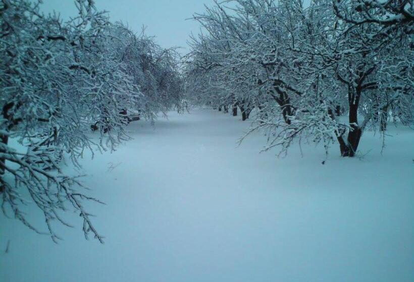 Schronisko Młodzieżowe Małgosia