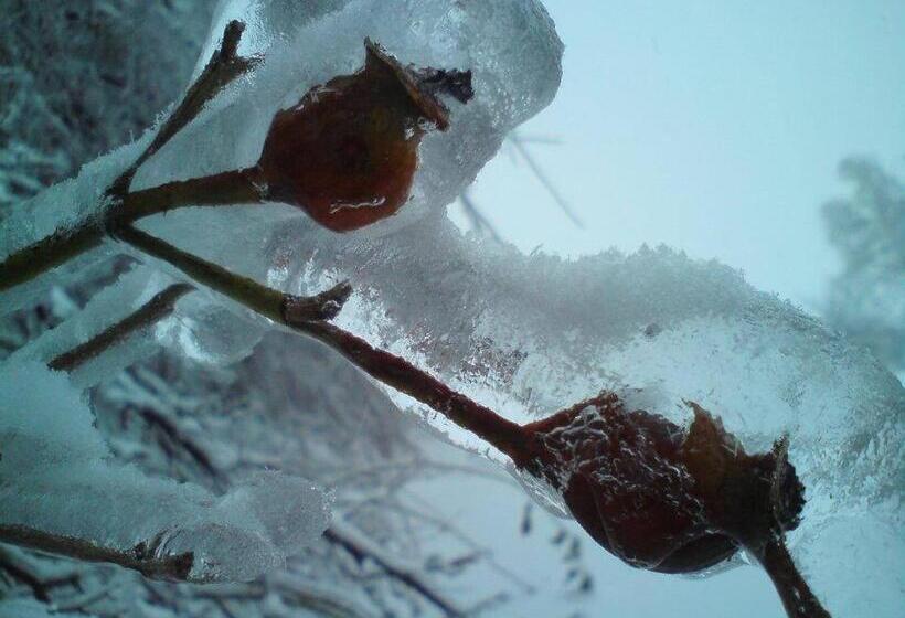 Schronisko Młodzieżowe Małgosia