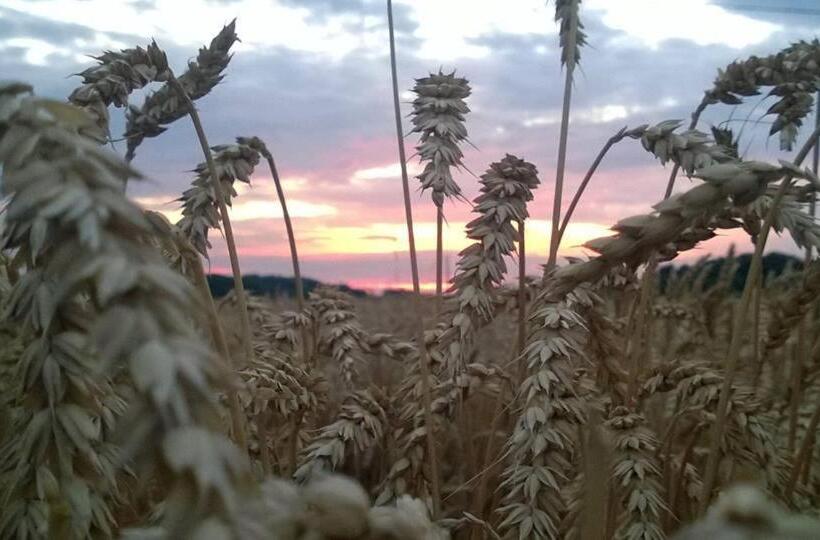 Schronisko Młodzieżowe Małgosia