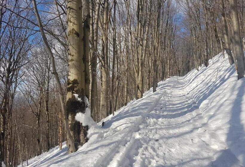 הוסטל Bacówka Pttk Jaworzec