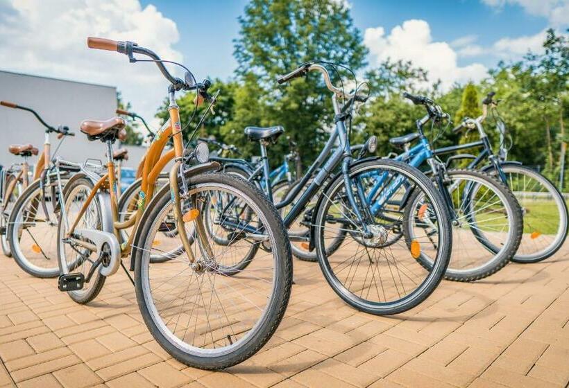 Общежитие Dom Studenta Ansã…â