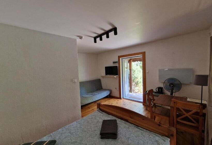 ユースホステル Oberża Pod Złotym Prosiakiem