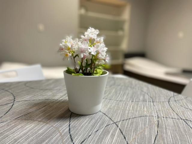 הוסטל Pokoje Pod świerkiem