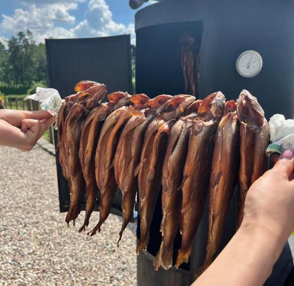 ユースホステル Rybaczówka Golub Dobrzyń