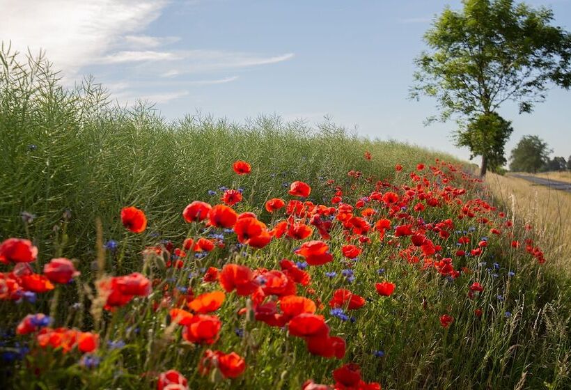 הוסטל Stary Młyn Strzeszyn   Soft All Inclusive