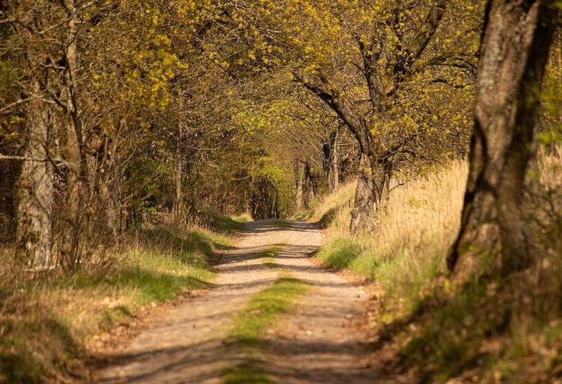 호스텔 Stary Młyn Strzeszyn   Soft All Inclusive