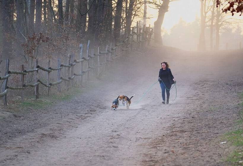 호스텔 Stary Młyn Strzeszyn   Soft All Inclusive