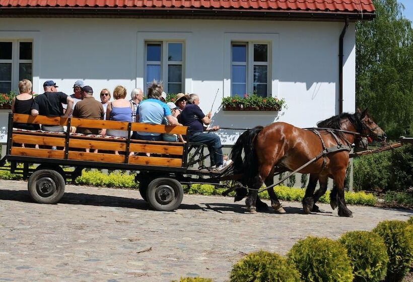 호스텔 Stary Młyn Strzeszyn   Soft All Inclusive