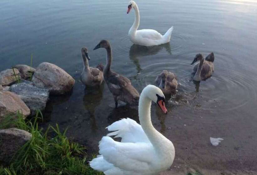 הוסטל Stary Młyn Strzeszyn   Soft All Inclusive