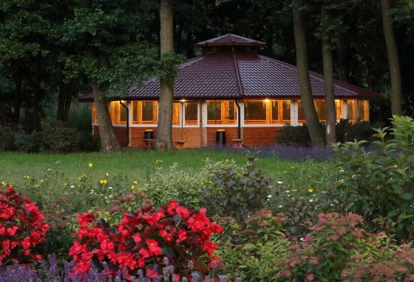 호스텔 Stary Młyn Strzeszyn   Soft All Inclusive